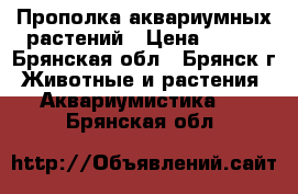 Прополка аквариумных растений › Цена ­ 300 - Брянская обл., Брянск г. Животные и растения » Аквариумистика   . Брянская обл.